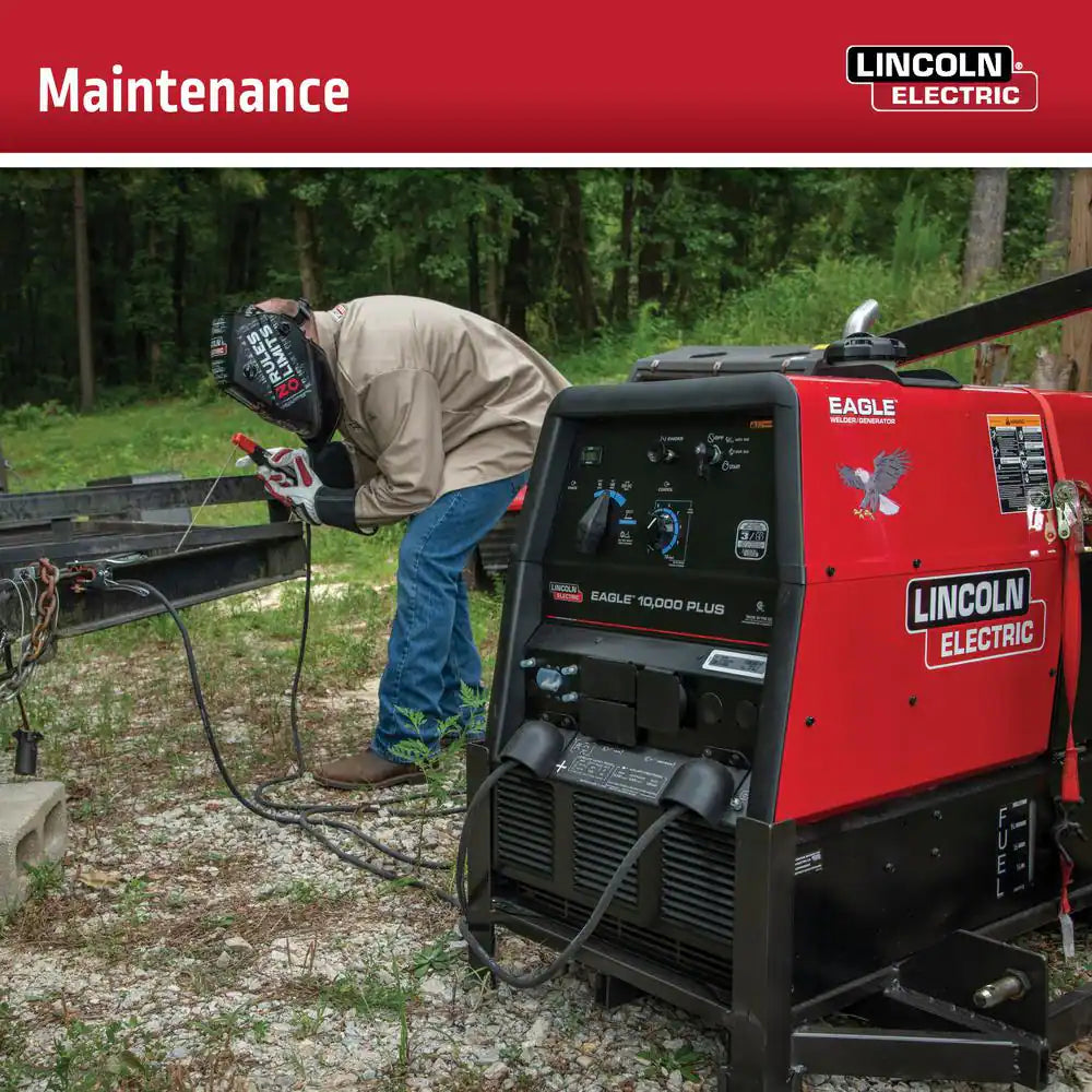 225 Amp Eagle 10,000 plus Gas Engine Driven Welder with LE Engine
