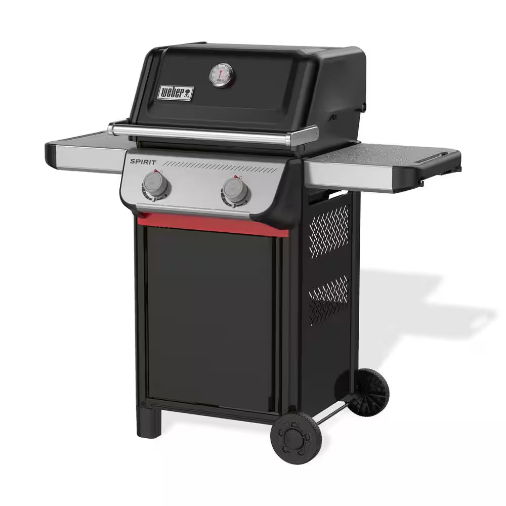Spirit E-210 2-Burner Liquid Propane Gas Grill in Black with Snap-Jet Ignition