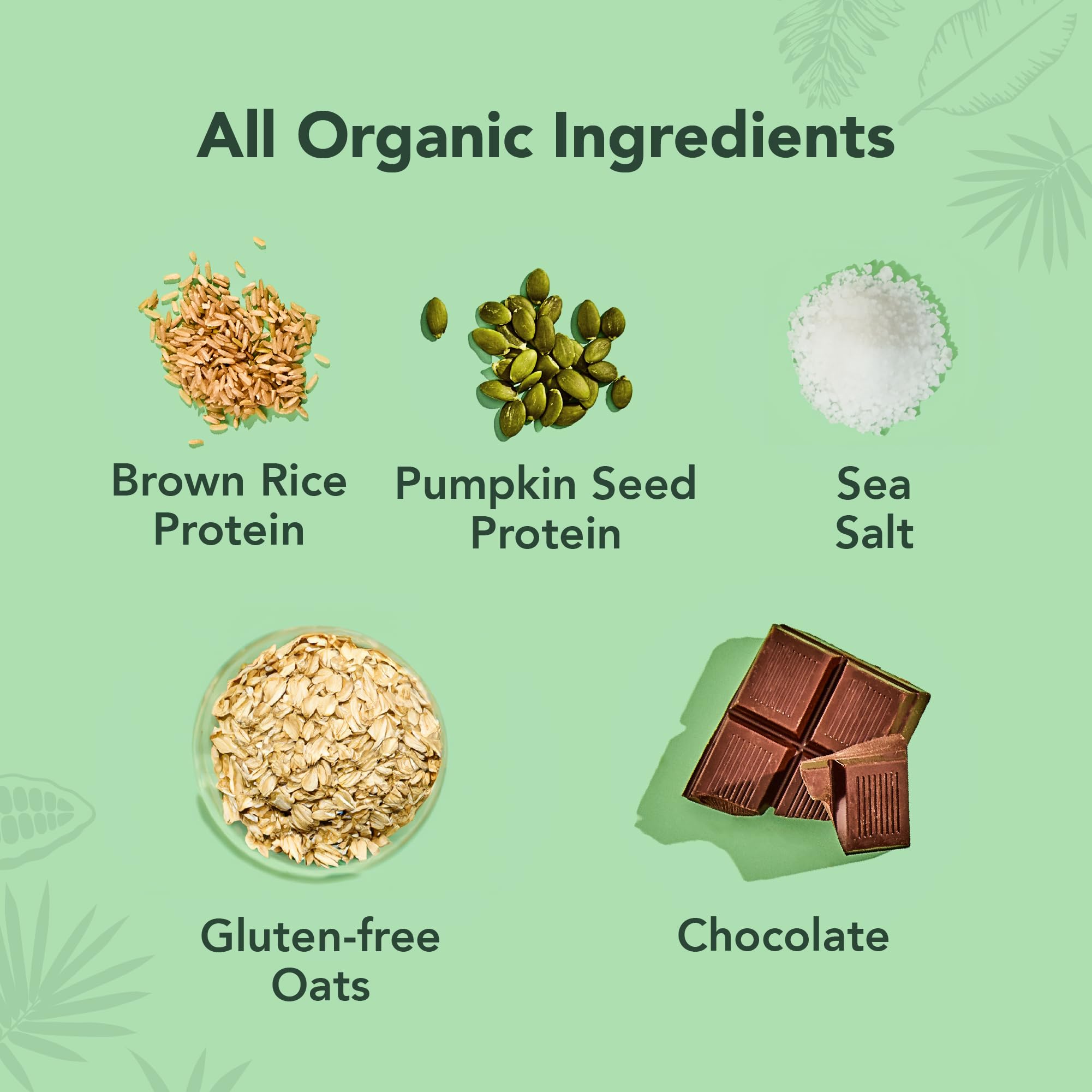 ALOHA Organic Plant Based Protein Bars |Peanut Butter Chocolate Chip | 1.98 Oz (Pack of 12) | Vegan, Low Sugar, Gluten Free, Paleo, Low Carb, Non-GMO, Stevia Free, Soy Free, No Sugar Alcohols