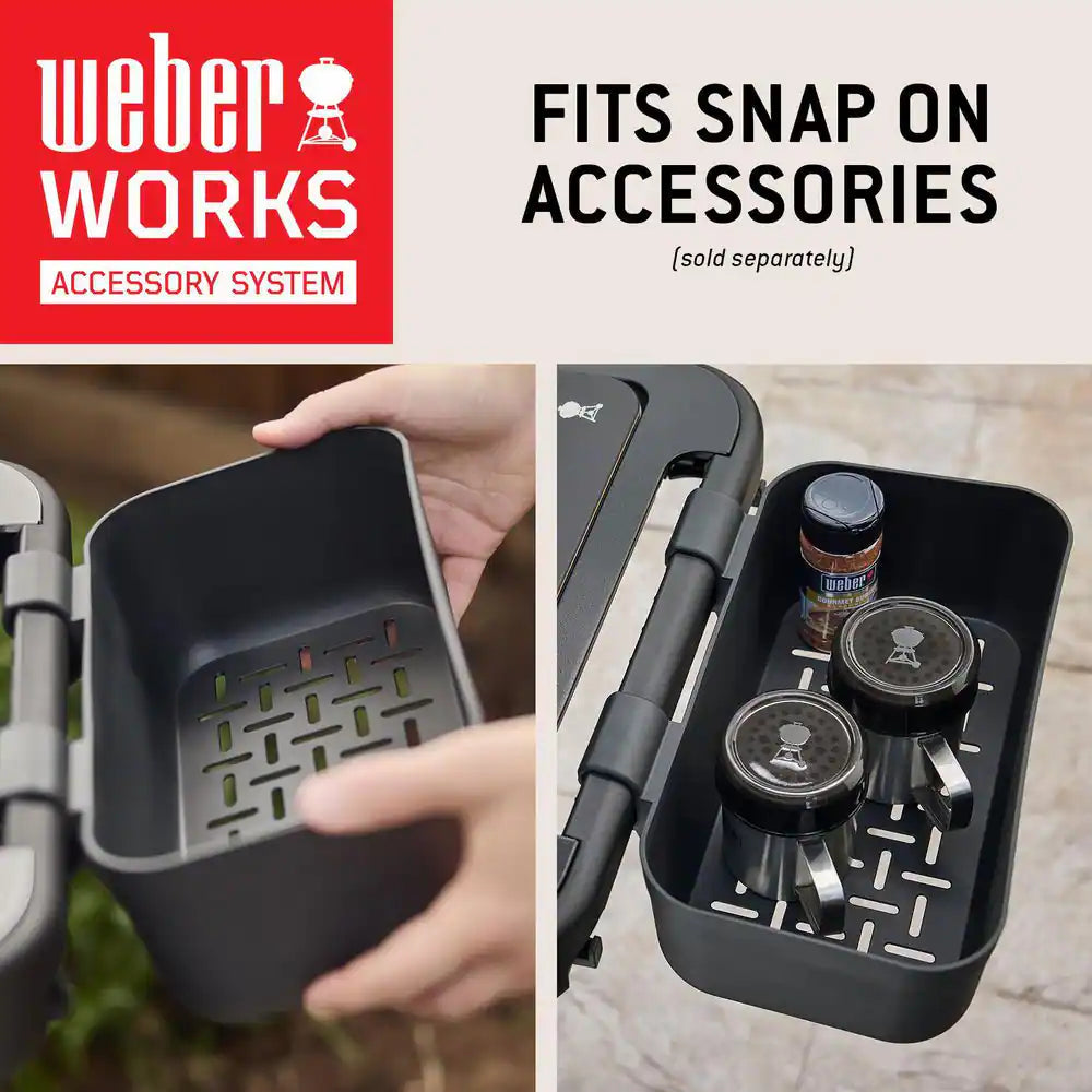 Spirit E-210 2-Burner Liquid Propane Gas Grill in Black with Snap-Jet Ignition