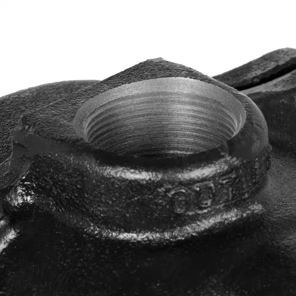 1-1/2 HP Cast Iron Quick-Prime Lawn-Sprinkler Pump