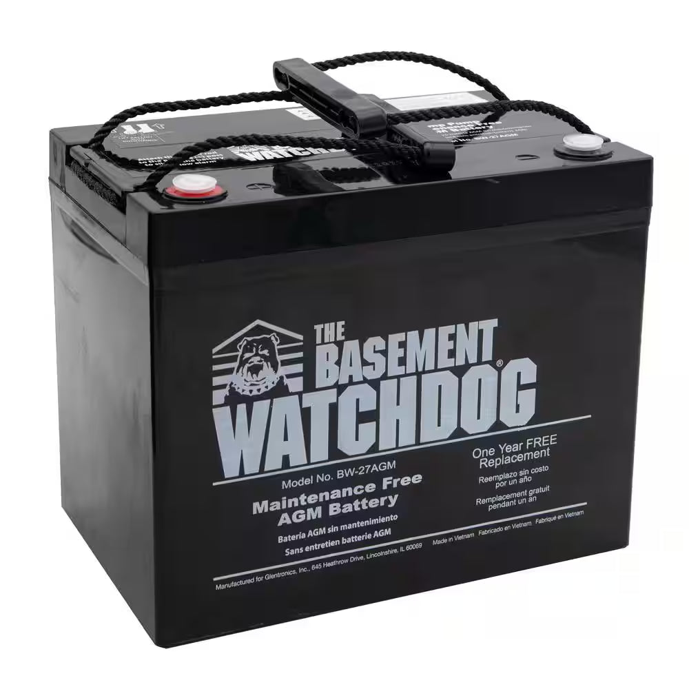 Maintenance Free (AGM) Standby Battery